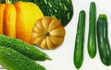 淋雨吃瓜图片,一场淋雨吃瓜的惬意时光