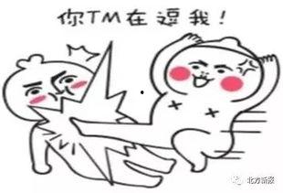 吃瓜了看动漫,趣味解读与深度剖析