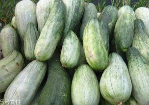 酥瓜可以凉拌吃