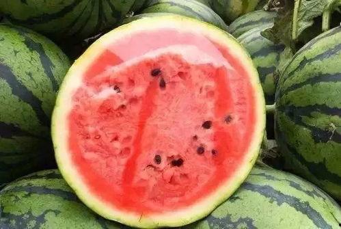 吃瓜怎么储藏食物呢,食物储藏小妙招