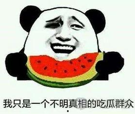 吃瓜群众韩语怎么写,揭秘韩语中的“吃瓜群众”