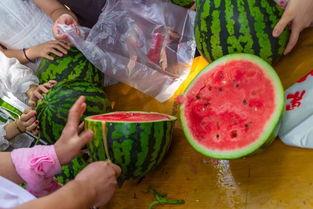 吃瓜汕头视频,吃瓜视频带你领略汕头风味