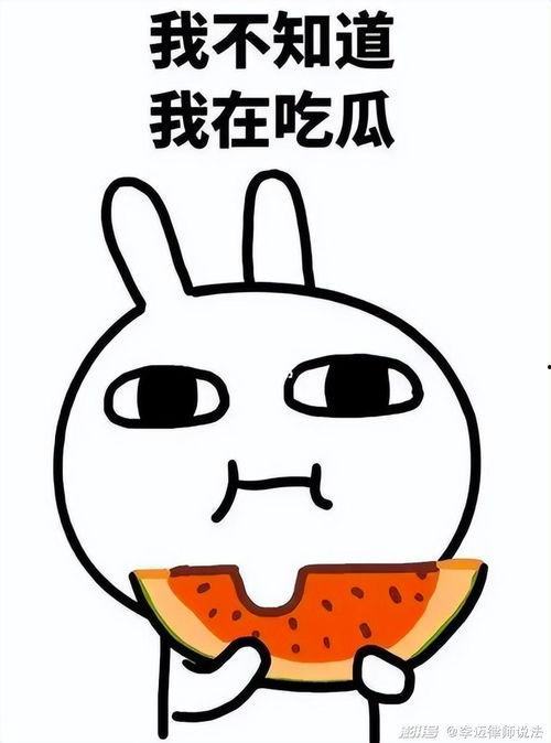 瓜瓜吃瓜朗读,趣味横生朗读之旅