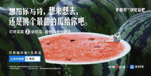 追星吃瓜文案,揭秘追星吃瓜背后的故事