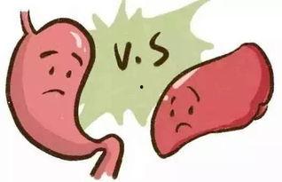 吃瓜拉肚子的原因,揭秘消化不适的罪魁祸首