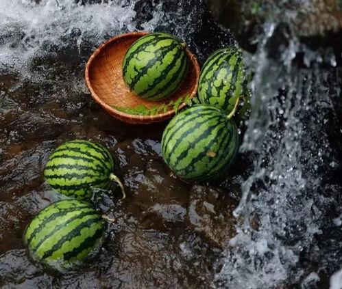 夏季吃瓜安全知识,清凉解暑，健康无忧的夏日食瓜指南