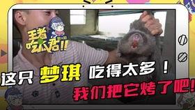 吃瓜君本君,揭秘娱乐圈那些不为人知的幕后故事
