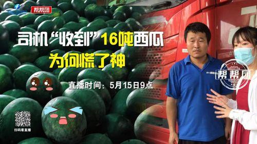 抢着吃瓜,抢着吃瓜的狂欢盛宴