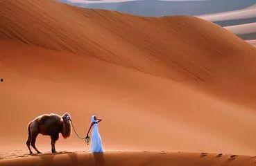 大漠豪情吃哈密瓜,尽享哈密瓜的甘甜诱惑