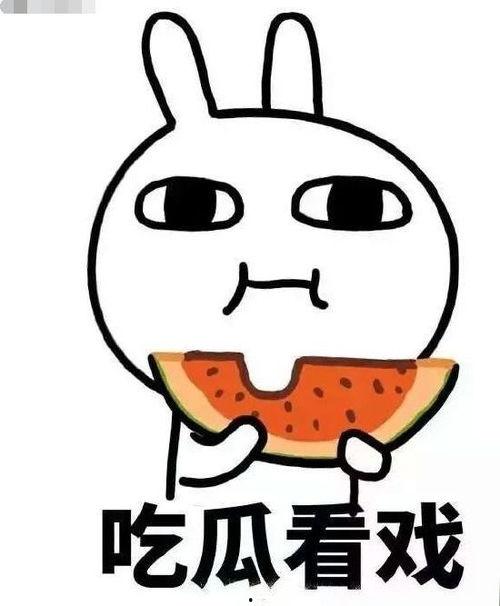 吃瓜情头多人,多面人生，一瓜窥见