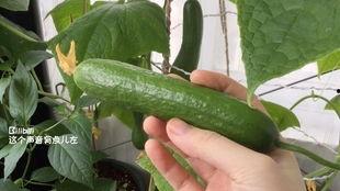 吃瓜最新更新,娱乐圈风云再起，揭秘明星幕后真相