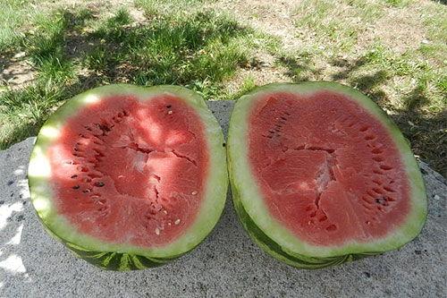 梦见喂老公吃瓜,揭秘喂老公吃瓜的温馨寓意