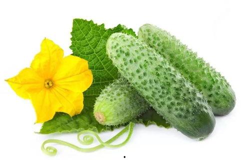 苏月月吃瓜系统,揭秘娱乐圈幕后真相