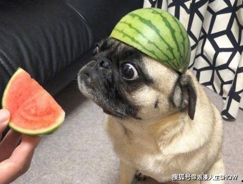 带吃瓜的小号,带吃瓜小号带你领略幕后风云