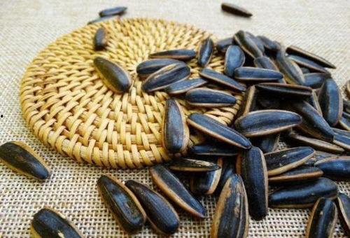 吃瓜得瓜子然后换瓜,瓜子的奇妙循环之旅