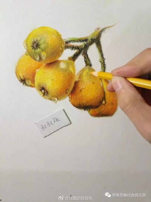 葫芦岛吃瓜墙,揭秘网络舆论场中的社会焦点