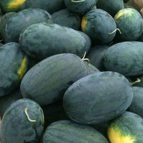 玩西瓜吃瓜呢,吃瓜群众的快乐时光