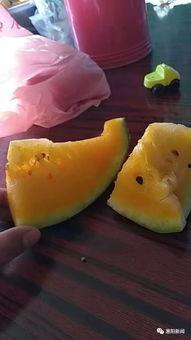 吃街头瓜,探寻夏日消暑美食之旅