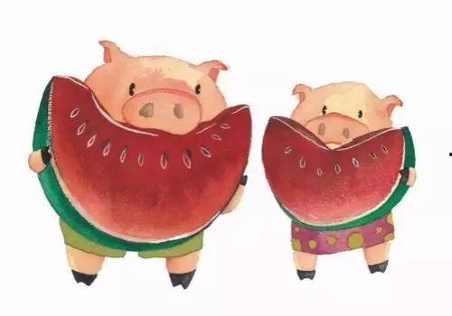 猪吃瓜有营养吗,猪吃瓜的营养价值与适宜性探讨