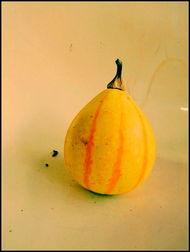 新沂最新吃瓜活动,最新吃瓜活动热辣来袭！