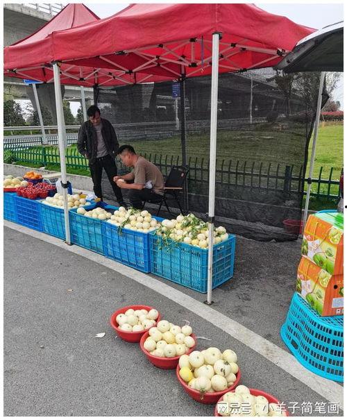 吃瓜温州,一场吃瓜之旅的味蕾盛宴