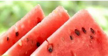 漳科吃瓜,揭秘吃瓜群众的狂欢盛宴