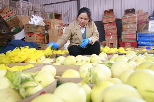 汾阳吃瓜直播,揭秘当地特色美食与风土人情