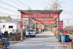 吃瓜群众营地,网络舆论场的风云变幻