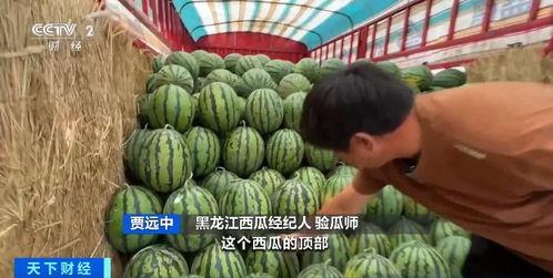 王磊吃瓜,揭秘娱乐圈幕后故事