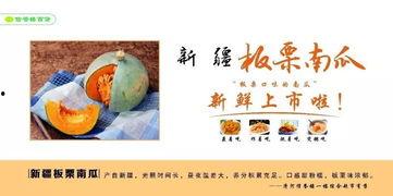 河间市吃瓜,瓜果飘香，品味生活新篇章